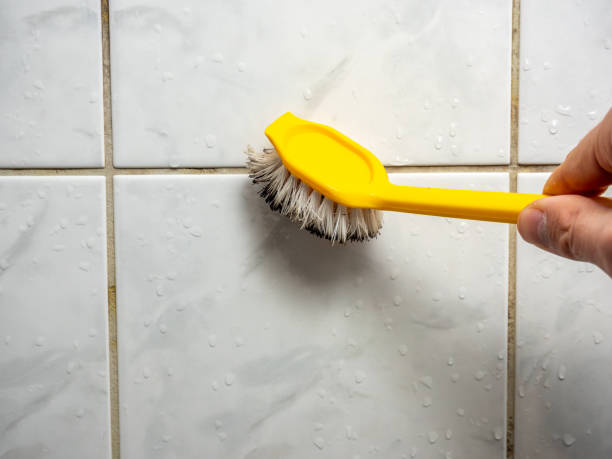 Best Professional Mold Removal  in Highland, CA
