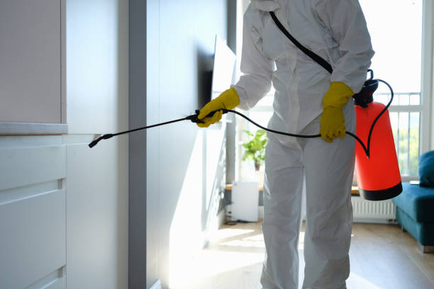 Mold Removal and Inspection in Highland, CA